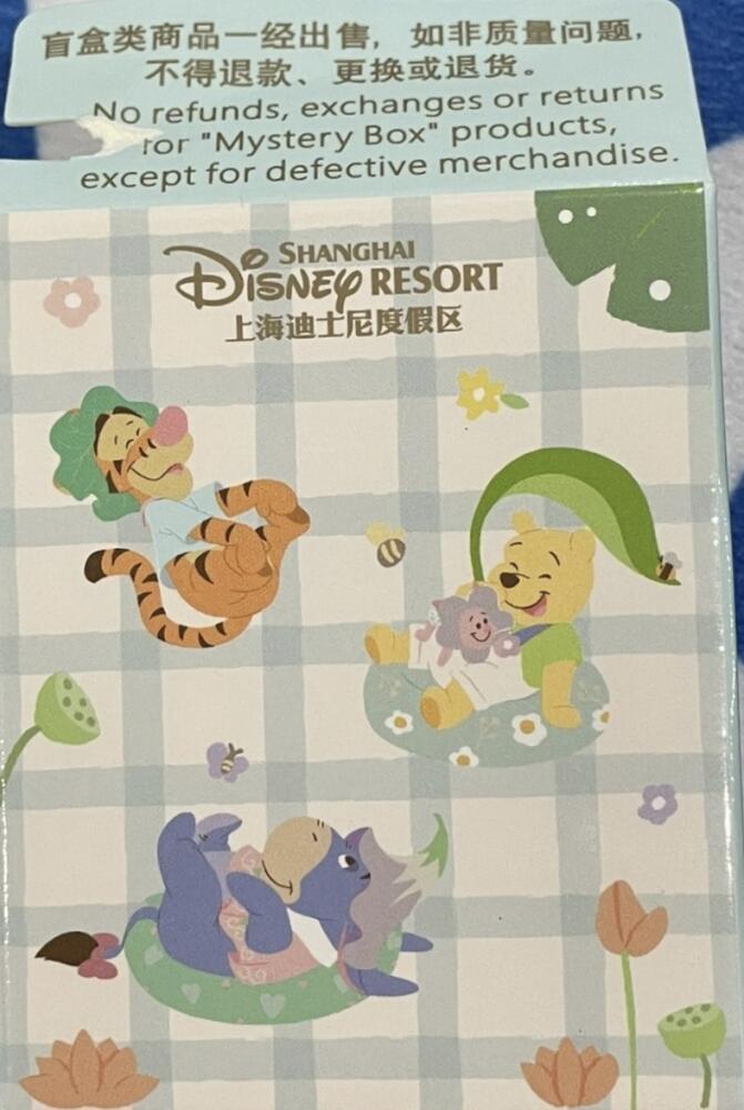 Winnie the Pooh Mystery Box
