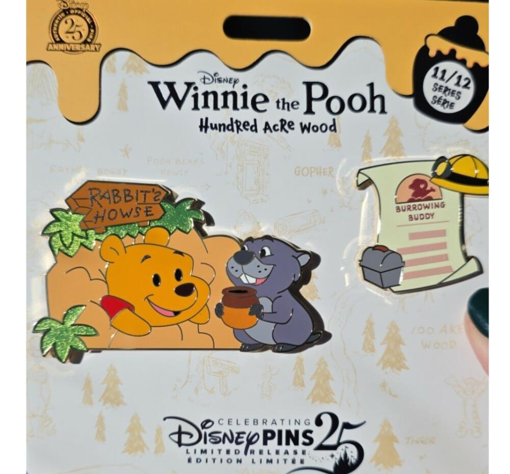 レア‼️世界限定100体WDW ピンバッジ付　クラシックプー　Pooh ディズニー Disney - ディズニー 100周年 ピンバッジ クマのプーさん 日本限定