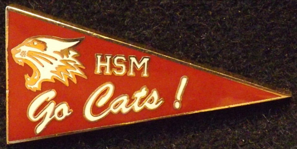 High School Musical - High School Musical Pennant | PIN 17868