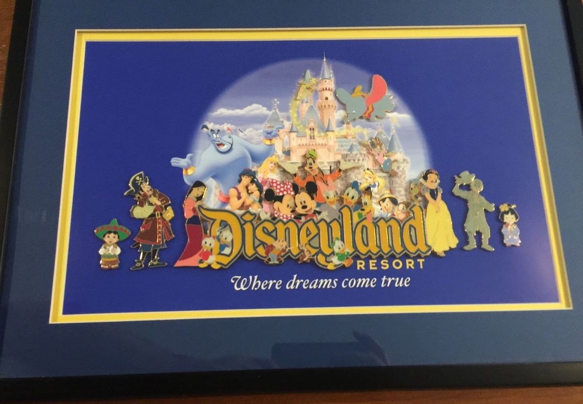 8 Pin Framed Set - Full Set