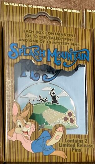 Splash Mountain Reveal/Conceal Mystery Collection