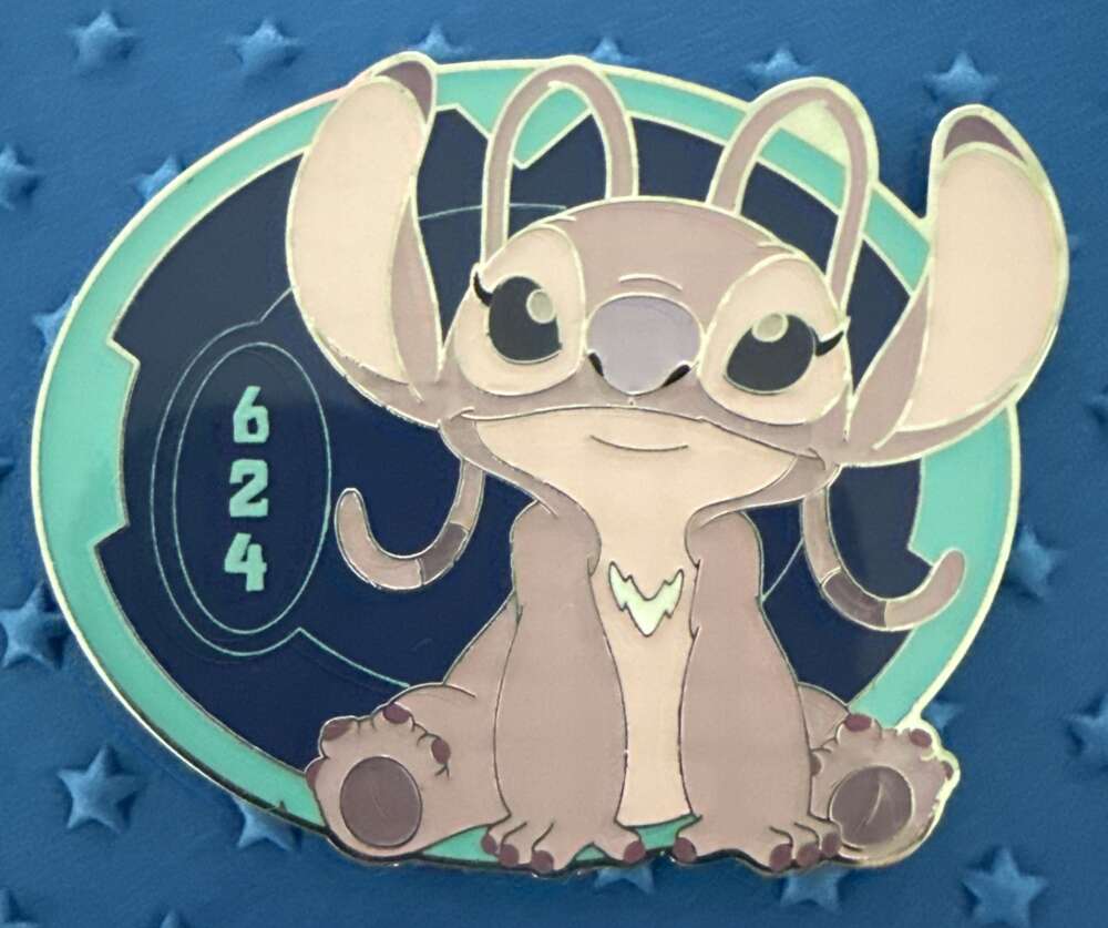 626 Day Cousins Mystery Box - Experiment 624 “Angel” | PIN 99842