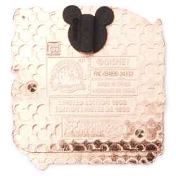 'Pocahontas 30th Anniversary - Pocahontas 30th Anniversary Group - MLT'