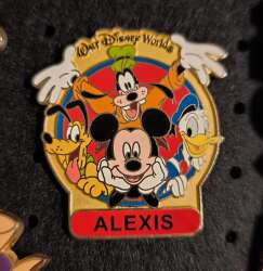 Click to view the WDW name pin details