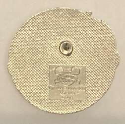 'Friends - Pinocchio and Jiminy Cricket - WDW'