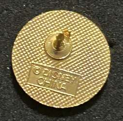 102489 - Mickey Police Gold Security - Theme Park Cast Member Exclusive alternate image