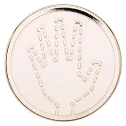 Click to view the Invisible Woman Symbol details