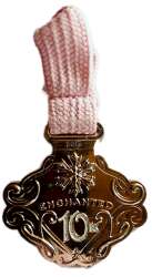 Enchanted 10k Silver Medallion on Pink