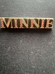Click to view the Minnie Shiny details