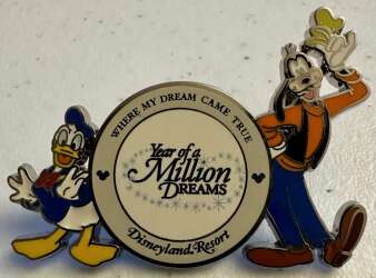 Donald Duck and Goofy - Disneyland Resort