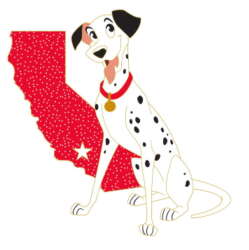 Pongo
