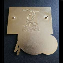 'Fantasy - BB-8 and Pinky and the Brain - FSY'