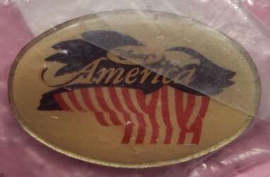 Disney's America Theme Park Logo