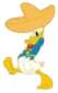 Click to view the Donald with Sombrero details