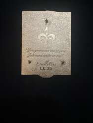 110870 - Unknown Series - Star Wars, Queen Amidala Picnic Gown - Fantasy Unlicensed alternate image