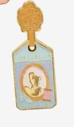 Cinderella Luggage Tag