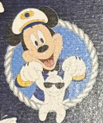 Mickey Mouse with towel animal