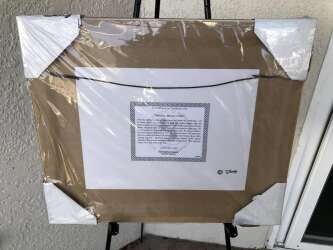 113888 - Mickey Mouse Club - Mickey Mouse Club 45th Anniversary Framed Set alternate image