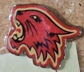 High School Musical Wildcat - High School Musical On Tour