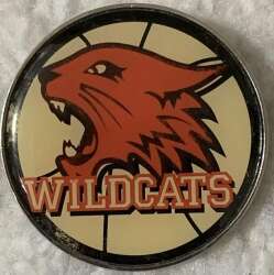 High school musical wildcats logo