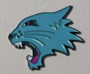 High School Musical Wildcat