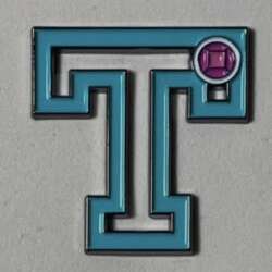 T as in Troy High School Musical