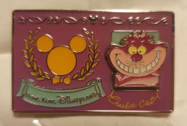Cheshire Cat Identification