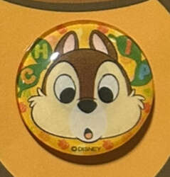 Chip Button