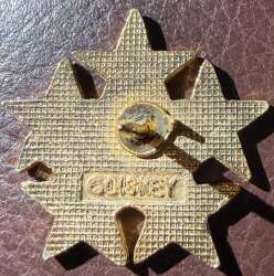 'Cast Member Award - Five Gold Stars (Version 2) - DSUS'