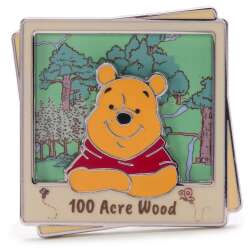 100 Acre Wood Pooh Polaroid