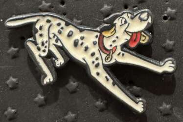 Pongo