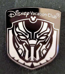 Black Panther - Chaser