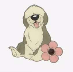 Max with flower