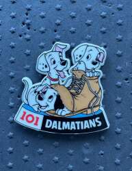 Dalmatian Puppies in Shoe