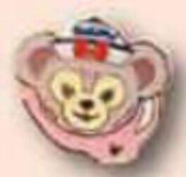 Pink Paint — ShellieMay COMPLETER