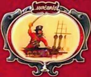 Pirate Captain