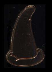 Click to view the Copper (Mystery Chaser) details