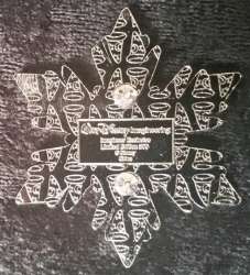 Frozen Snowflake Image - Sven - WDI