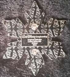 Frozen Snowflake Image - Oaken - WDI