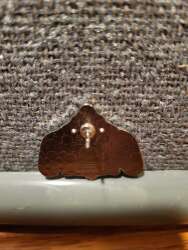 14329 - Tsum Tsum Mystery Collection: Series 1 - Dumbo alternate image