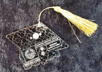 Graduation - 2015 Chip and Dale under cap with tassel - MLT