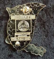 8273 - Best Friends 2015 Pin Set Series - Joy and Sadness Pin Set - Joy ONLY alternate image