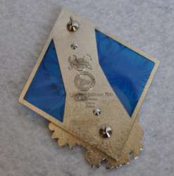 'D23 Expo 2015 - Elsa Swarovski - D23'