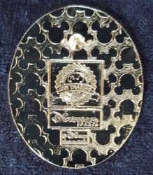 'Frozen - Anna Medallion - DLP'
