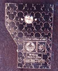 22065 - Disneyland 60th Anniversary Castle Puzzle Mystery Collection - Donald and Pirate - Disneyland Resort alternate image