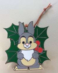 Click to view the Thumper details