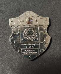 23575 - 2018 Hidden Mickey - Icon Crests / Shield - Rapunzel (Sun) - Walt Disney World alternate image