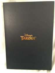 17485 - 15 Fabulous Years! - Fabulous Assorted Book Series - Toy Story 2 / Tarzan - Disney Store Japan alternate image