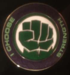 Marvel Choose Your Mark - The Hulk - DLR