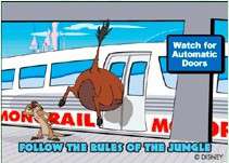 Wild About Safety Collection - Follow the Rules of the Jungle! - MLT